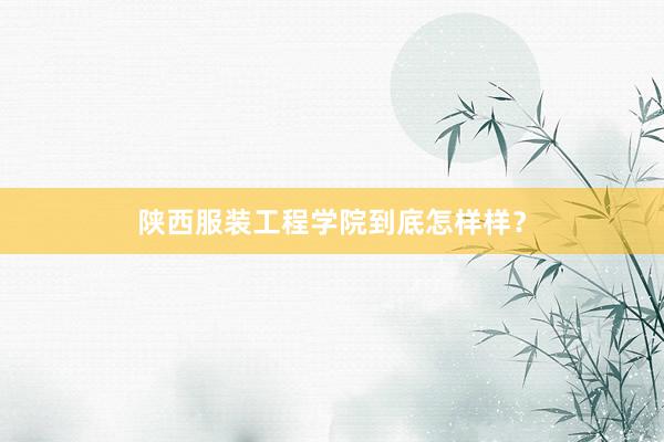 陕西服装工程学院到底怎样样?
